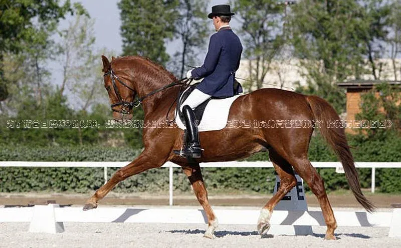 NG.28.66百度智能门户为了符合百度SEO的标准，建议您将标题设定为：《为什么足球运动员身高普遍较矮？探究背后的原因》