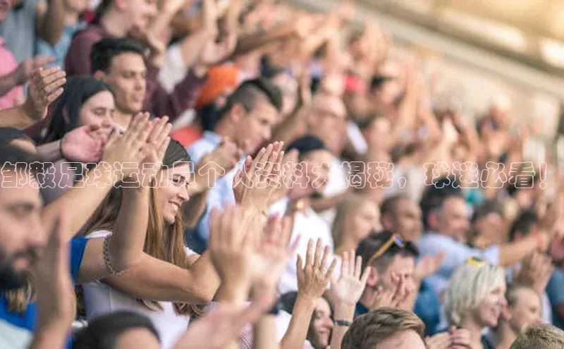 南宫28娱乐官网百度网盘邹毅足球运动员个人资料大揭秘，球迷必看！