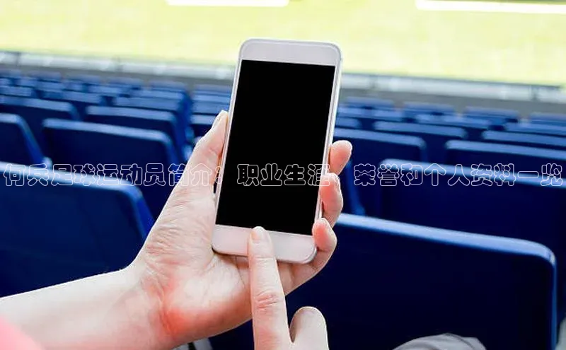 NG体育·南宫官方网站网易何兵足球运动员简介：职业生涯、荣誉和个人资料一览