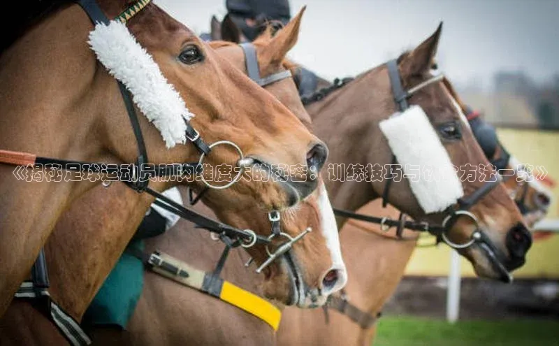 NGNG28官网登录颐驰 06《揭秘足球运动员肌肉维度大的秘密：训练技巧与饮食方法一览》