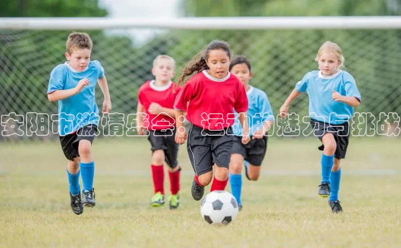 南宫ng注册美团安阳市激情盛会：运动的魅力与挑战