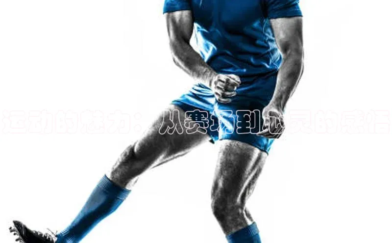 运动的魅力：从赛场到心灵的感悟