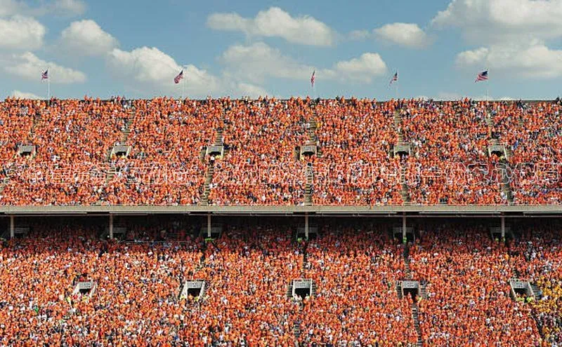 支付宝赛事运动险：为你的激情时刻增添一份安心保障