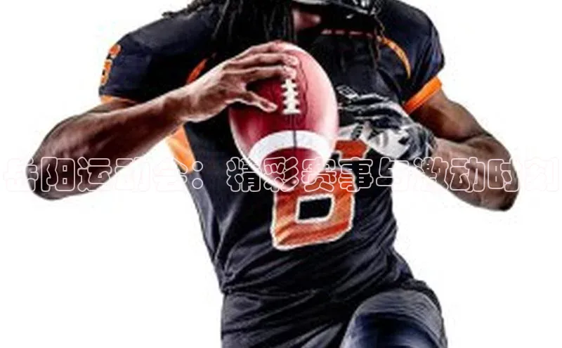 岳阳运动会：精彩赛事与激动时刻