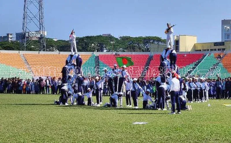 竞速巅峰：2023年赛车运动赛事排行一览