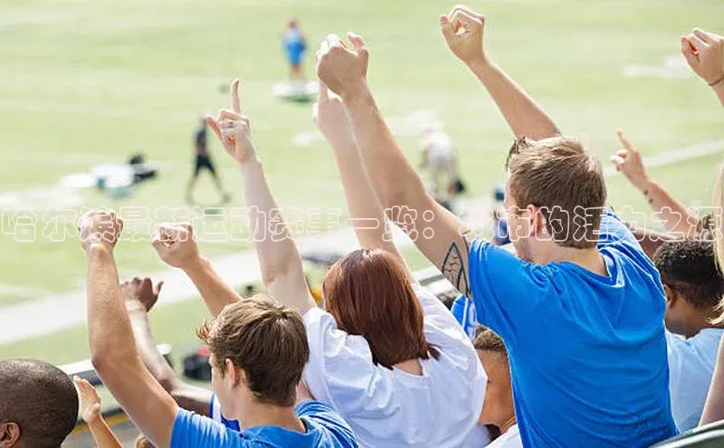 哈尔滨最新运动赛事一览：城市的活力之源