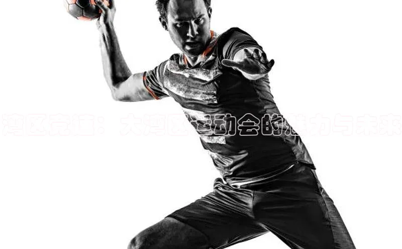 湾区竞速：大湾区运动会的魅力与未来