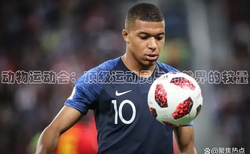 动物运动会：顶级运动员与自然界的较量