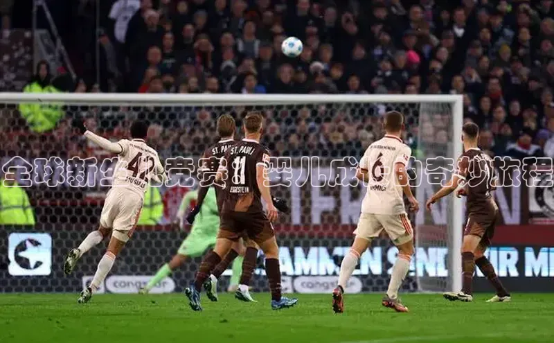 全球新生儿竞赛：婴儿成长的奇妙旅程