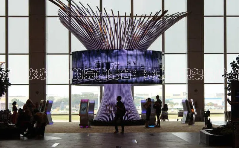 构建冰球运动的完美舞台：赛事组织架构详解