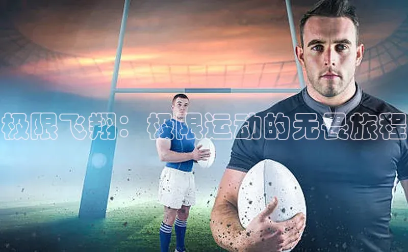 极限飞翔：极限运动的无畏旅程
