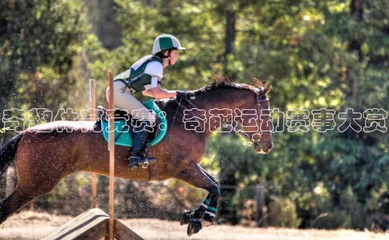 奇趣体育竞赛：奇葩运动赛事大赏