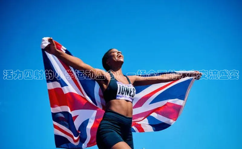 活力四射的小学运动盛会：一场全面的体育交流盛宴