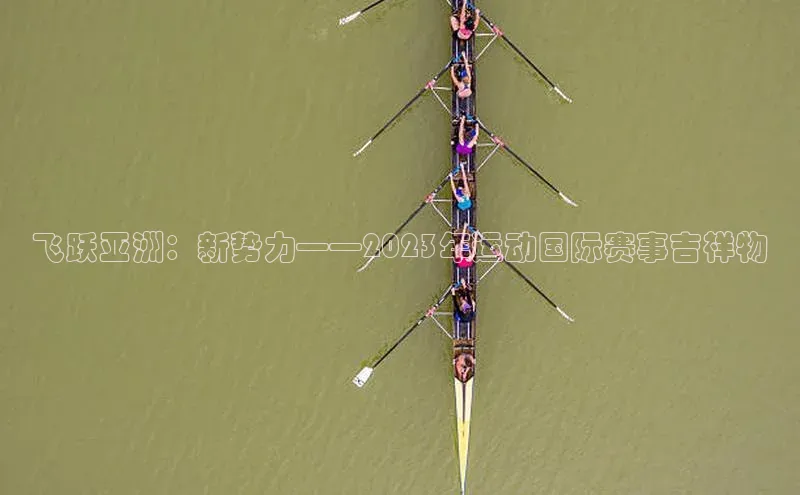 飞跃亚洲：新势力——2023年运动国际赛事吉祥物