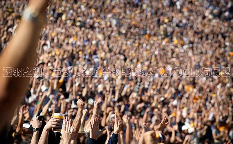 逐羽之巅：三沙市运动会羽毛球赛事盛况回顾与展望