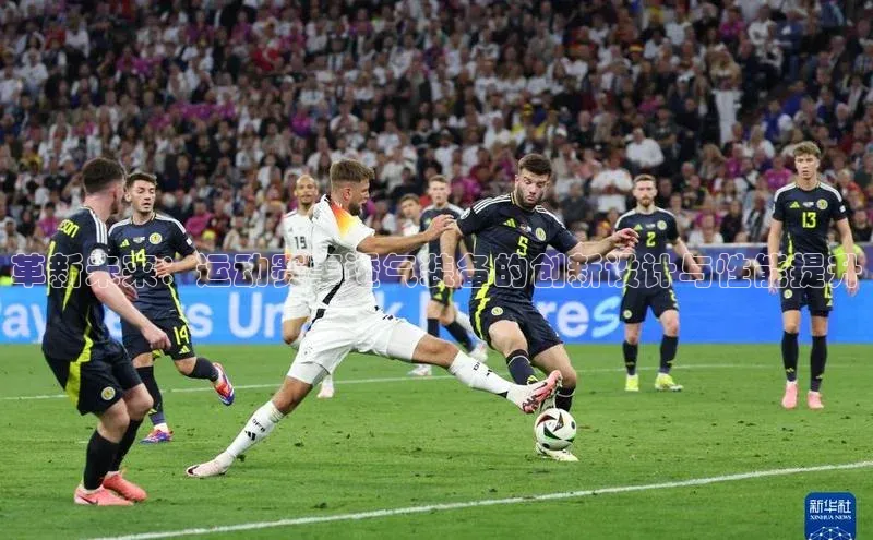 NG官网入口注册