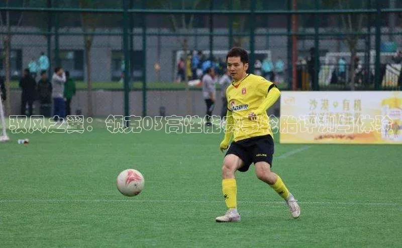 驭风之翼：领克03高性能赛事轮胎评测与体验