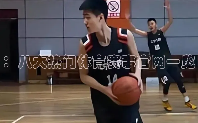 ：八大热门体育赛事官网一览