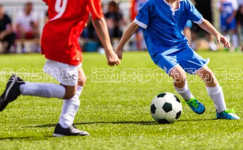 拳击与技巧：运动赛事中的暴力美学